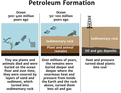 Petroleum Formation Diagram