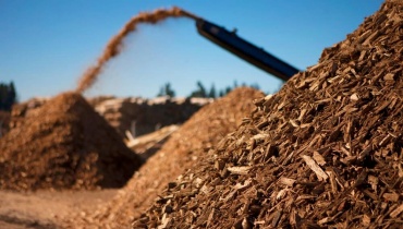 Biomass Harvesting