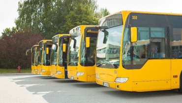 Buses